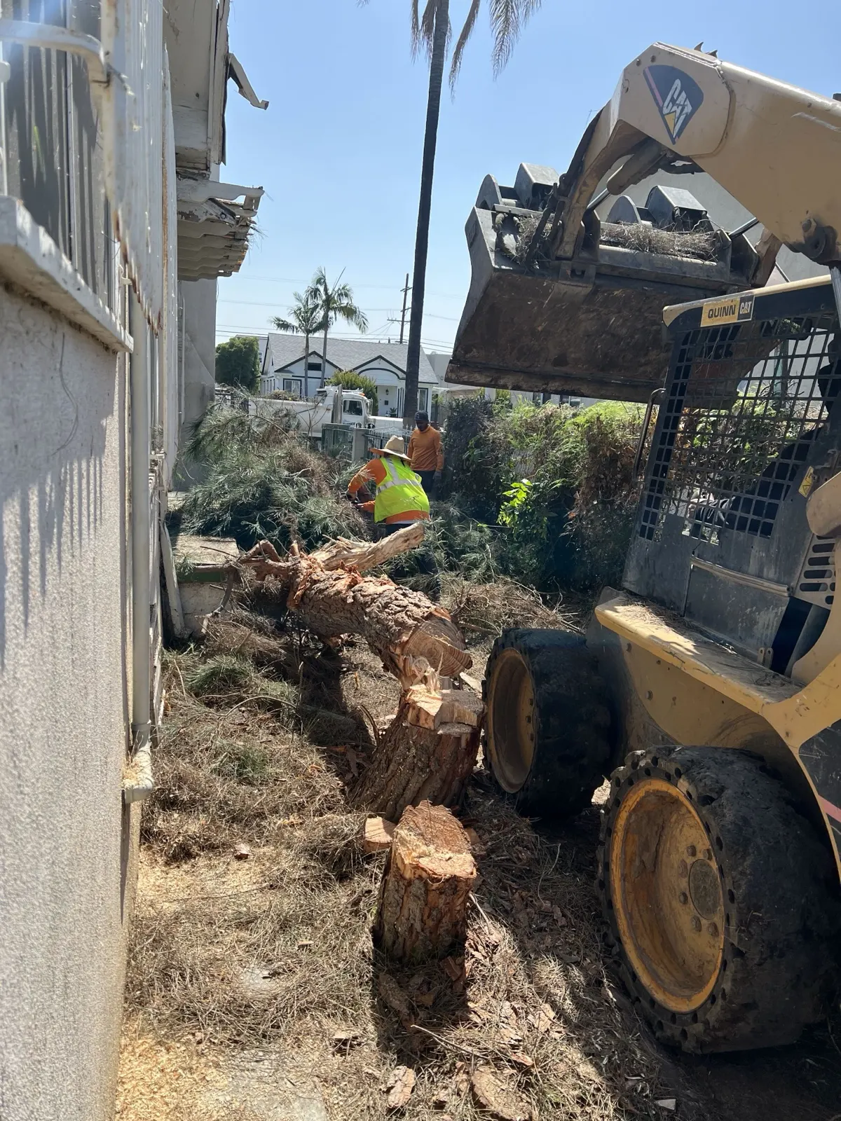 Our skid steer moving cut tree sections during a lot cleanup