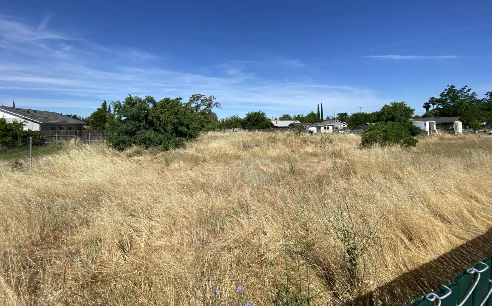 Lot Cleanup in Los Angeles, CA
